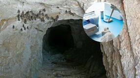 Badania naukowe