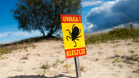 Wirus Alongshan wykryty w Niemczech