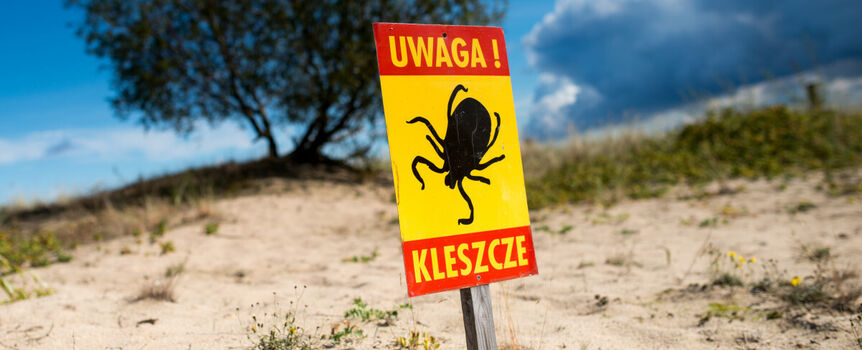 Wirus Alongshan wykryty w Niemczech