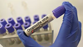 wirus Oropouche