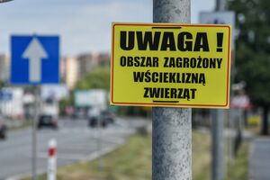 Obszar zagrożony wścieklizną w Toruniu