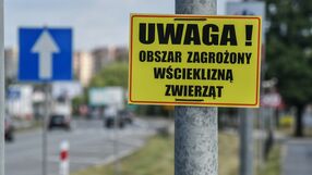 Obszar zagrożony wścieklizną w Toruniu