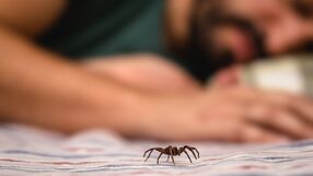 Mężczyzna połknął pająka przez sen