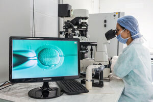 In vitro: co dzieje się z niewykorzystanymi zarodkami?