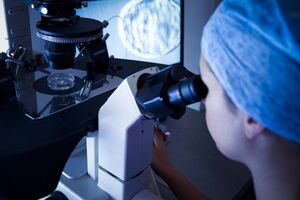 Ile kosztuje in vitro?