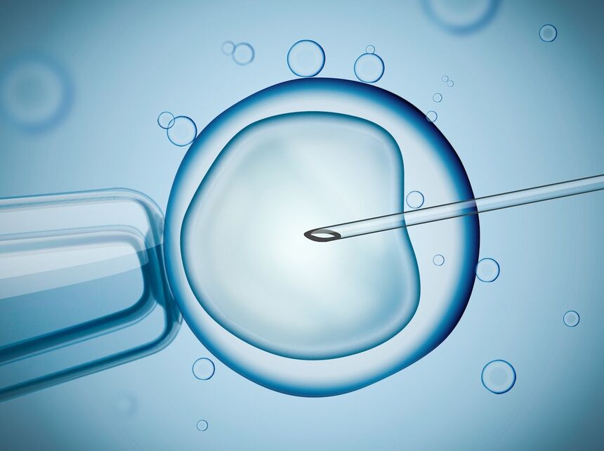 In vitro