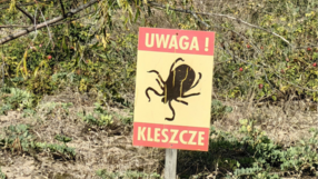 Tabliczka "Uwaga, kleszcze"