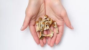 Psylocybina łagodzi rodziclelski stres? Niebezpieczny trend