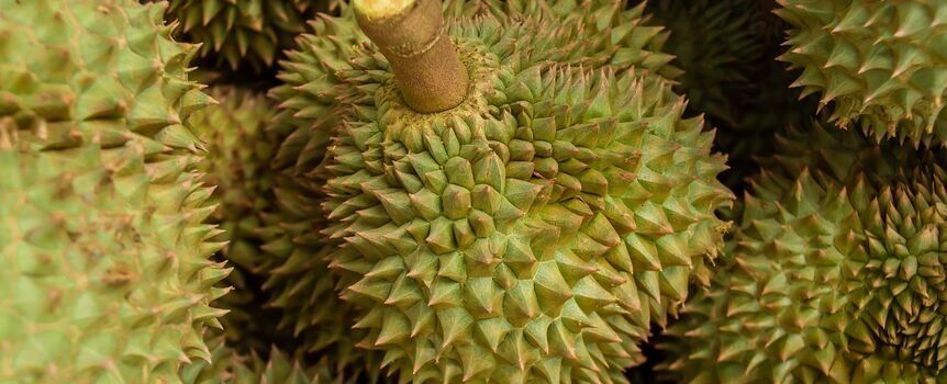 durian
