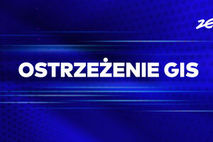 Bakterie w sklepowych pierogach. GIS wydał ostrzeżenie