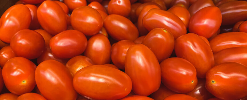 Pestycydy w pomidorach z importu. Badanie
