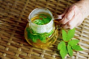 Kobieta trzyma kubek z naparem z podagrycznika