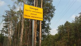 Zgnilec amerykański pszczół to bardzo zakaźna choroba