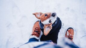 Chodzenie zmniejsza ryzyko cukrzycy typu 2