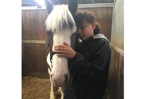 justgiving/screen