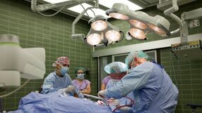 Transplantacja
