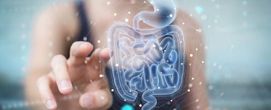 Choroby biorą się z zaburzeń mikroflory jelit