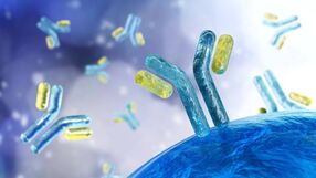 Przeciwciała - immunoglobuliny