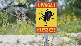Kleszcze w Polsce, jak sie chronić