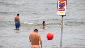 Plaża zamknięta z powodu zakwitu sinic