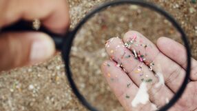 Mikroplastik przenosi groźne dla zdrowia pasożyty