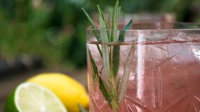 Lemoniada rabarbarowa z rozmarynem - przepis