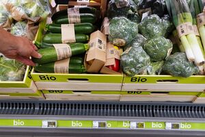 Jak wybrać produkt ekologiczny? Zwróć uwagę na ten znak